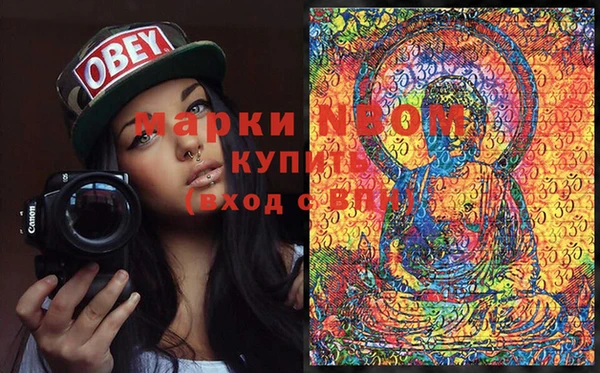 дживик Белокуриха