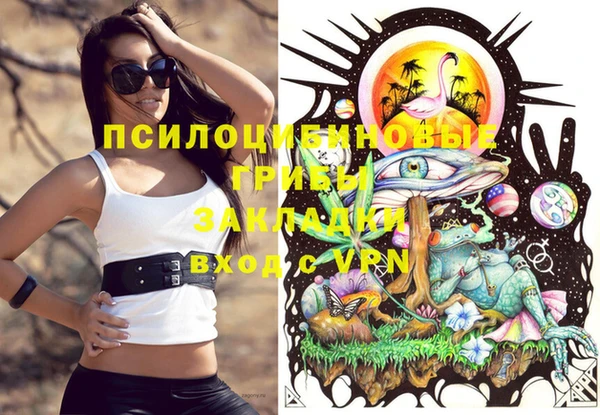 дживик Белокуриха