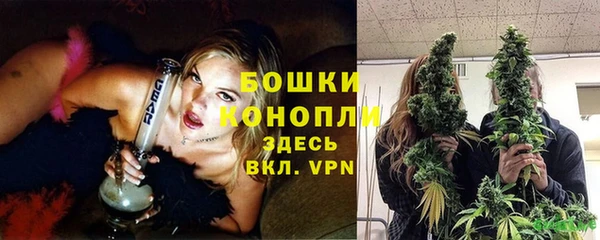 дживик Белокуриха