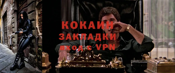 дживик Белокуриха