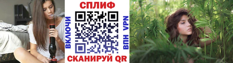 Канабис Amnesia Нововоронеж